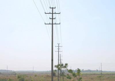 電桿/電線桿
